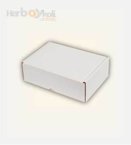 25x25x10 cm Beyaz Kraft Kilitli Mikro Kapaklı Kutu