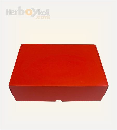 /Content/images/product/31x22x9-cm-sivamali-mikro-kilitli-kutu-kirmizi.png