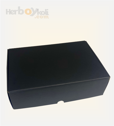 /Content/images/product/31x22x9-cm-sivamali-mikro-kilitli-kutu-siyah.png